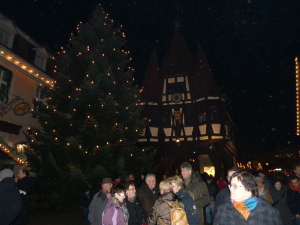 Ausflug 2014 Weihnachtsmarkt Michelstadt